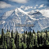 Asian Zen Spa Music Meditation - Captivated