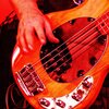 Edu Bass Gioielli - Larga