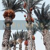 Drunken Beats - Holidays