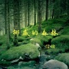 信晗 - 挪威的森林