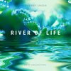 Sherry Shieh - River of Life (Ambient Version)