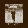 Juan Vidal - Lonely Flight