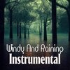 Frank Schreiner - Loving In The Windy And Raining