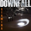 Downfall - Point in Any Direction