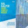 Hal Galper、John Scofield、Adam Nussbaum - Ivory Forest