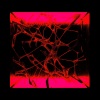 Scaler - Flashforward (Squid Remix)