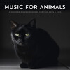 Songs for Dogs to Sleep To、Relaxing Dog Music、Dog Sleep Academy - A Summer At The Beach