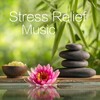 Relaxation Meditation and Spa - Peaceful Valley