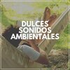 Musica Relajante - Pequeñas Hadas en el Espacio