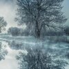 Acoustic Instrumental Vibes - Puddles in the Mud