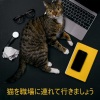ジャズ音楽アカデミー - 猫を職場に連れて行きましょう