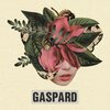 Gaspard - Kontroll