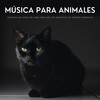 Colectivo De Música Para Perros、Perritos Fantásticos、Dormir Ayuda - Dulces Cachorros, Dulces Gatitos