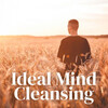 Total Relax、Binaural Beats Study Collective、Serenity Music Relaxation - Wind Through Waterfall