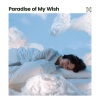 Deep Sleep Music Maestro - Pure Thoughts