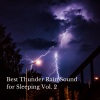 Relaxing Music For Sleeping、Pure Baby Sleep、Baby Sleepy Sound - Rain Winter Paradise