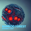 Bamboo Forest - Morning Light
