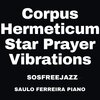 saulo ferreira - Corpus Hermeticum Star Prayer Vibrations