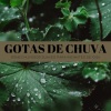 Música de Relaxamento No Spa、Musica Para Dormir Profundamente、Música Para Estudar - Feng Shui