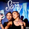 Snap Dogg《Sorry (Explicit)》[MP3/LRC]