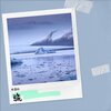 恰谈森 - 骁