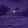 Sped Up Mage、Syrex、Harddope、Lunis、Elizabeth Grant、rick nowels - Summertime Sadness (Sped Up)