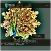 Gonza Rodriguez、Aluria《In Search of Balance (ALURIA's Liberate Mix)》[MP3/LRC]