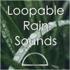 Rain Loops、Rain for Studying - Nature Rain Loop