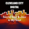 Secret Sinz、Jaax - In My Soul
