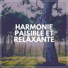Detente Spa Musique Collection - Doux Reves, Pt. 19
