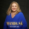 Wanda Sá - Sucedeu Assim