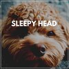 Sleep Ambience - Sleep Well with Calming Ambient Sounds, Pt. 18