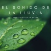 Música para Meditar y Relajarse、Yoga & Meditación、Meditaciones Espirituales《Tierra Relajante》[MP3/LRC]