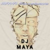 DJ Maya《beautiful life》[MP3/LRC]