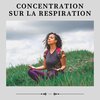 Musique Relaxante - Sons ambiants pour une relaxation profonde et un sommeil, Pt. 9
