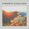 Ambiance de Fond - Musique Ambiance Zen