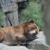 White Noise Therapy、Be Relaxed White Noise、Soothing White Noise - Relaxing Mind