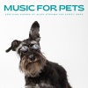 Dog Music Club、Music for Calming Dogs、Dog Music Zone《Happy Barks》[MP3/LRC]