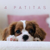 Perritos Fantásticos、Ansiedad De Los Perros、Música Para Perros - Sonidos De Relajación De Perros