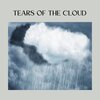 Loopable Rain Sounds - Rain in the Mountains, Pt. 4