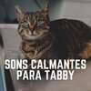 Cat Music - An Interval for My Cat