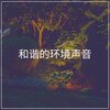 Calm Music - Open Your Heart