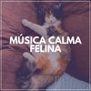 Music For Cats - Kitty Cat Dreams Calming Ambient Music for Your Cat, Pt. 3