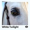 Ambient Nature White Noise - Cognitive Calming White Noise, Pt. 14