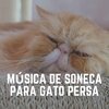 Cat Music - Rebel with Claws