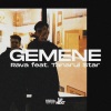 Tânărul $tar、Rava - Gemene (Explicit)