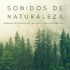 Estudiar música para concentrarse、Musica Para Leer、Academia de Música para Estudiar Fácilmente - Truenos y Lluvia