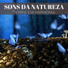 Música de Relaxamento No Spa、Musica Para Dormir Profundamente、Música Para Estudar - Cataratas Da Mente