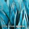 SACRISTAN - 100% Blue Agave