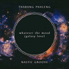 Thabang Phaleng、Nastic Groove - whatever the mood (galaxy love)